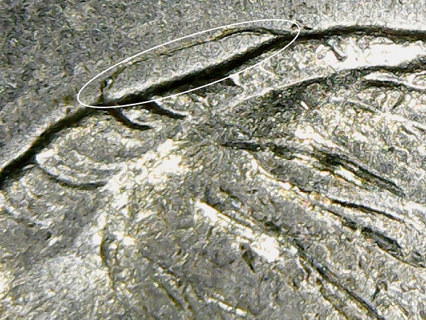 2007-D-Dime-Missing-Clad-+-Clash?-+-Idb?
