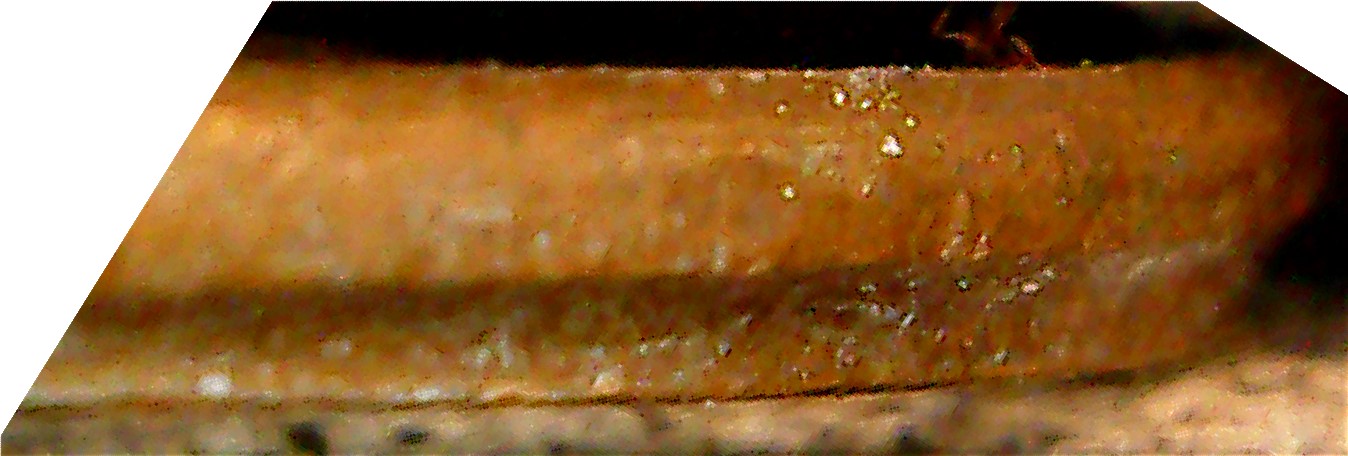 1970-LMC-Stiff-Collar-Error-Aka-Partial-Collar-Aka-Railroad-Rim