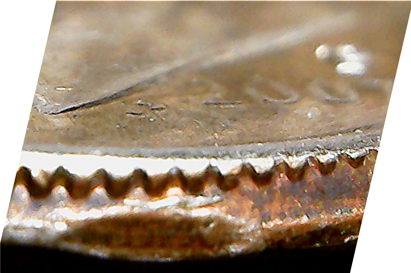 2007-P-Dime-Check-My-Attribution:-Reversed-Partial-Collar?-Inverted-Dies?