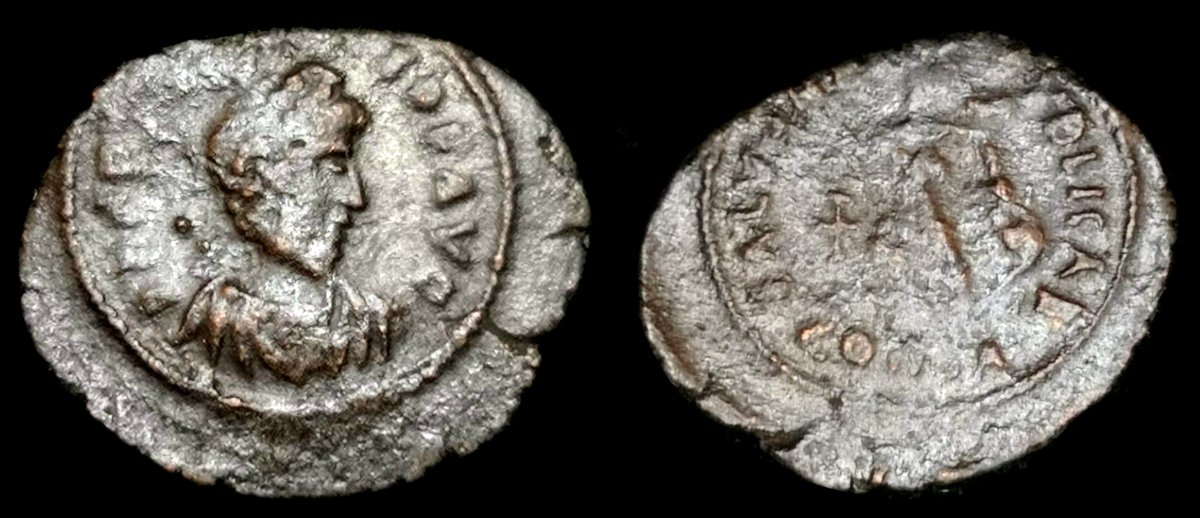 ID-Help---Small-Roman-Ae-Salus