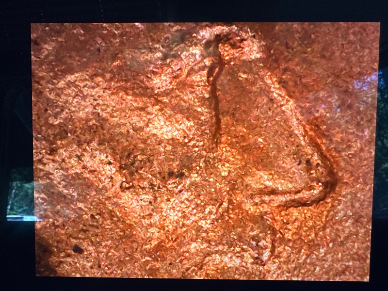 1982-DDO-Penny-W/-Possible-DDR-&-Die-Crack-Thoughts?