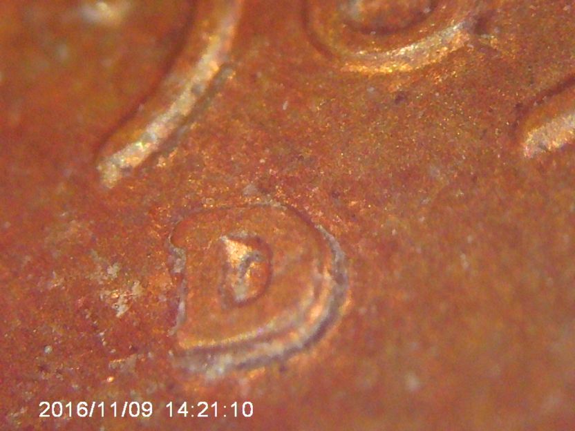 Bunch-Of-Random-Photos.-Looking-For-More-Advice-As-I-Learn.