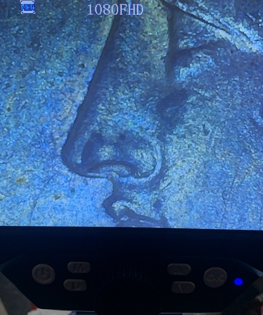 1878-7TF-Flared-Nostril?-Is-There-A-VAM?