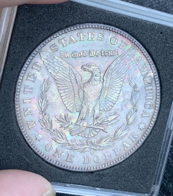 1902-0-Toned-Morgan-Value?