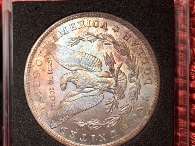 1885-0-Toned-Morgan-Value