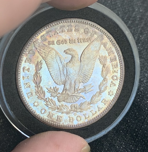 1904-0-Toned-Morgan-Value?