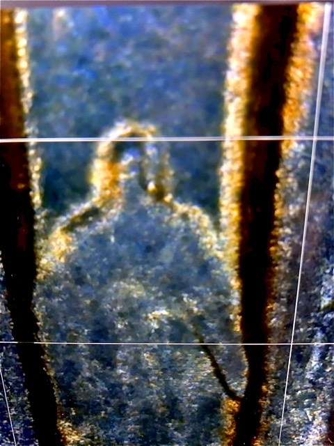 Can-Anyone-Tell-Me-What-This-Is?