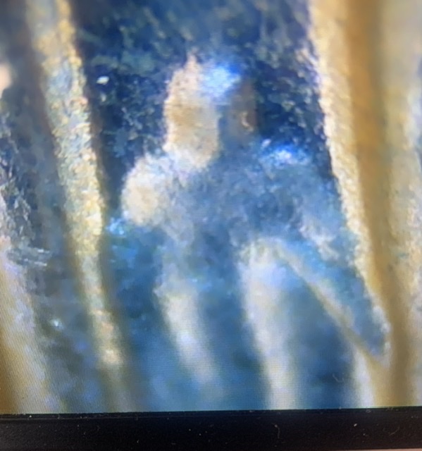 Can-Anyone-Tell-Me-What-This-Is?