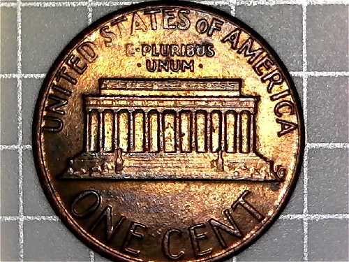 1983-Philadelphia-LMC-Could-This-Be-A-New-Variety,-DDR