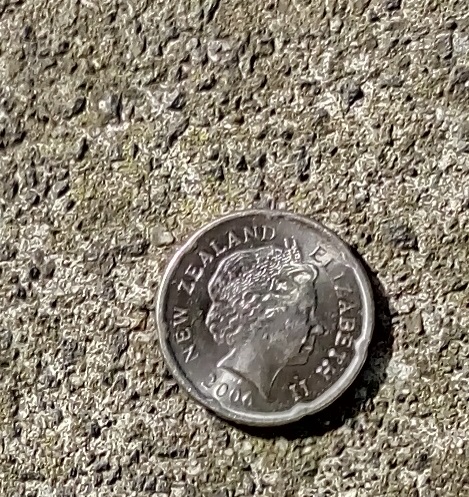 Post-Your-Stories-&-Pix-Of-Found-Money