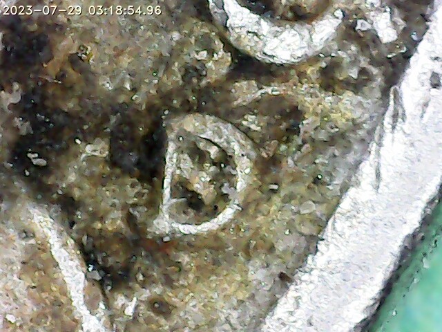 1986-D/S-Nickel?-What-Else-Would-This-Be