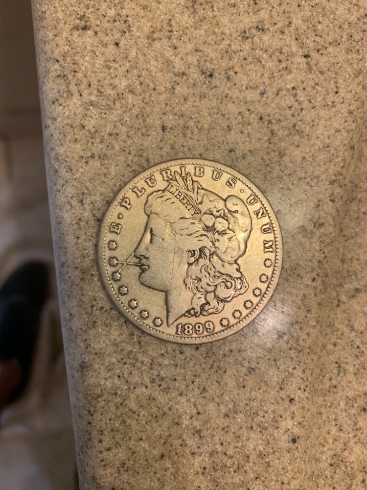 Need-Help--1899-O-Morgan-Dollar-VAM?-Error-Die-Spikes
