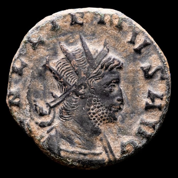 Non-Coin-Collector-Needs-Advice-On-Recent-Coin-Purchase