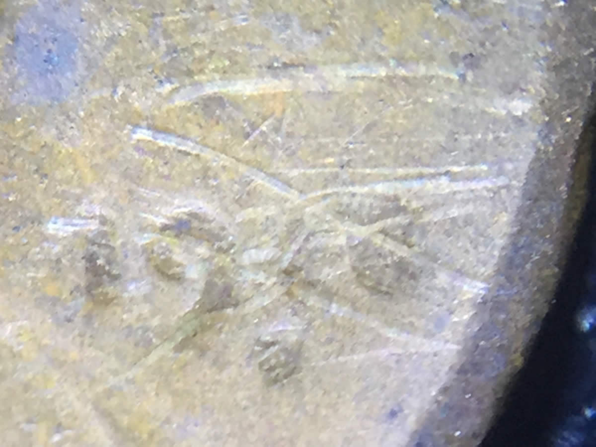 Super-Circulated-Penny-1910-S-Maybe?