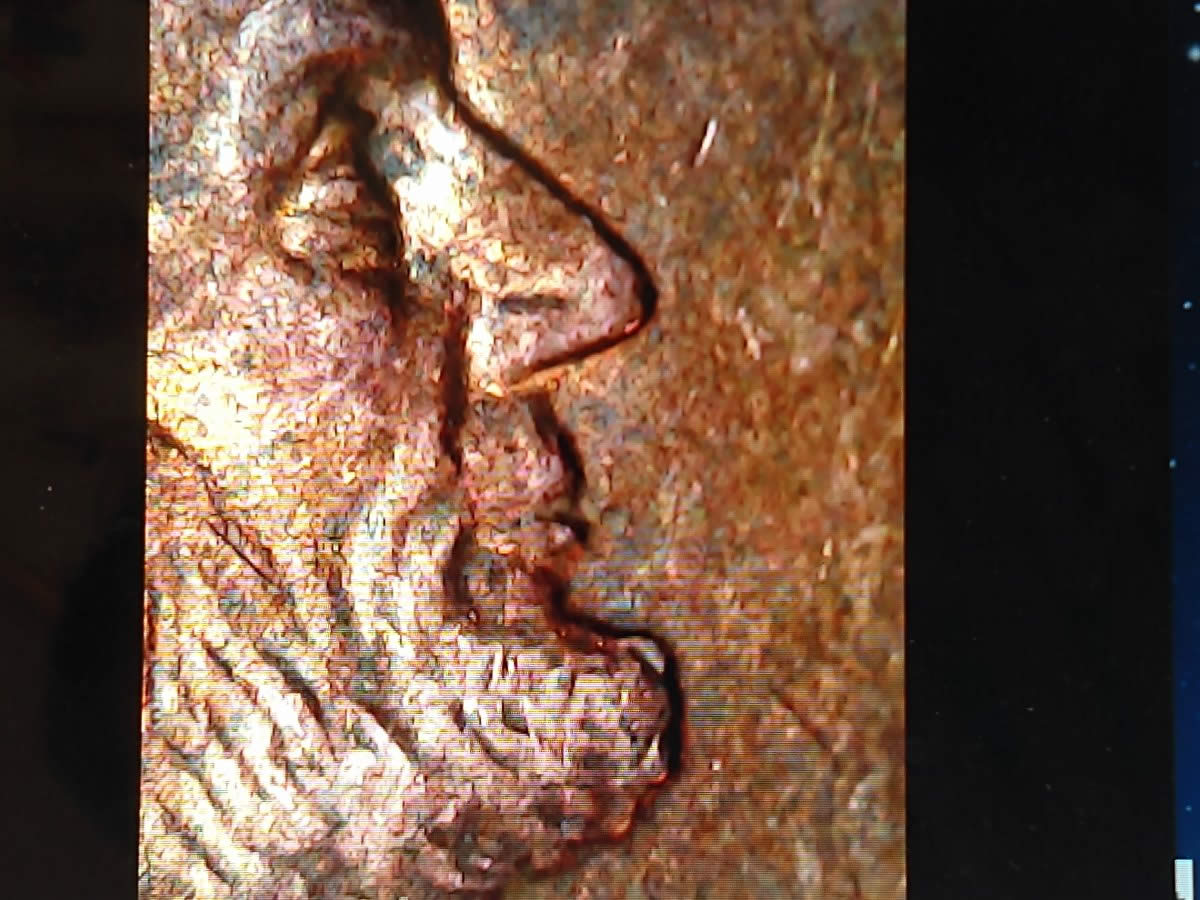 2000-D-Lincoln-Cent.