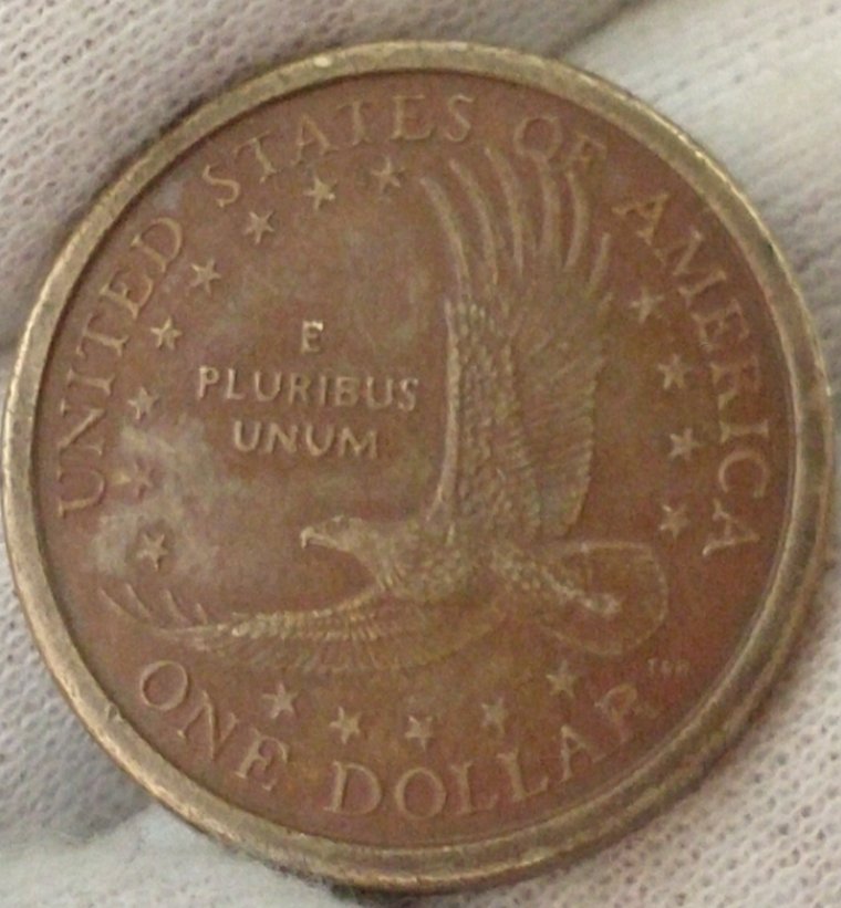 2000-P-Sac-$-Experimental-Die-Or-Environmental-Damage?