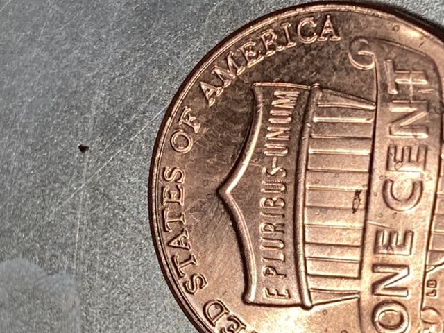 Dash-In-E-Pluribus-Unum-2020-D-Penny.