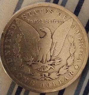1879-No-Mint-Mark-Silver-Morgan-For-Grading