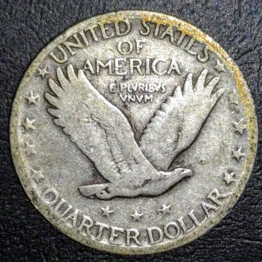 My-First-Real-Purchase,-1925-Standing-Liberty
