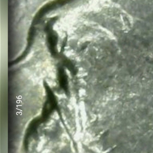 1962-Dime-Double-Eyelid?
