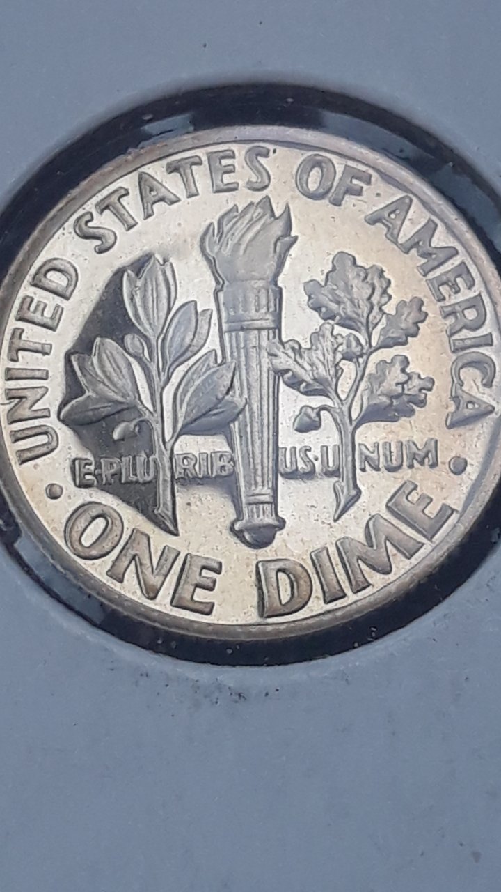 1970-S-Proof-Roosevelt-Dime-Possible-DDO-DDR?-What-Are-Your-Thoughts?