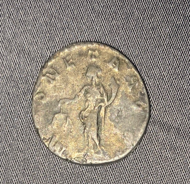 Need-Help-To-Identify