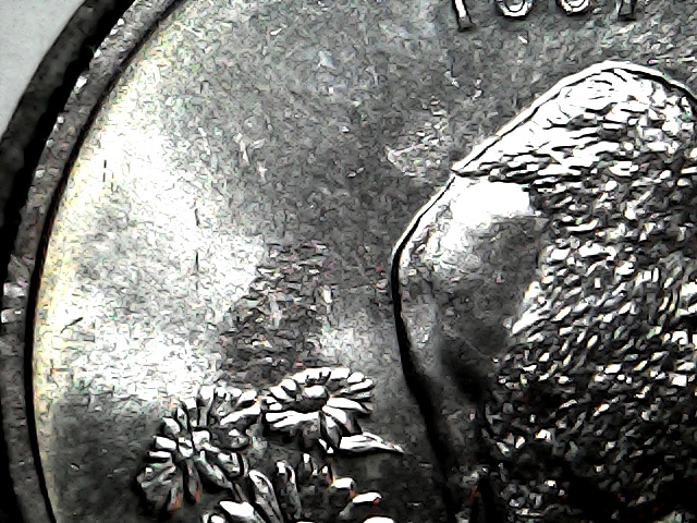 Different-Twist-On-Kansas-2005-Quarter
