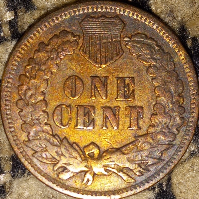 Is-This-1899-Indian-Head-Penny-Have-Any-Value.