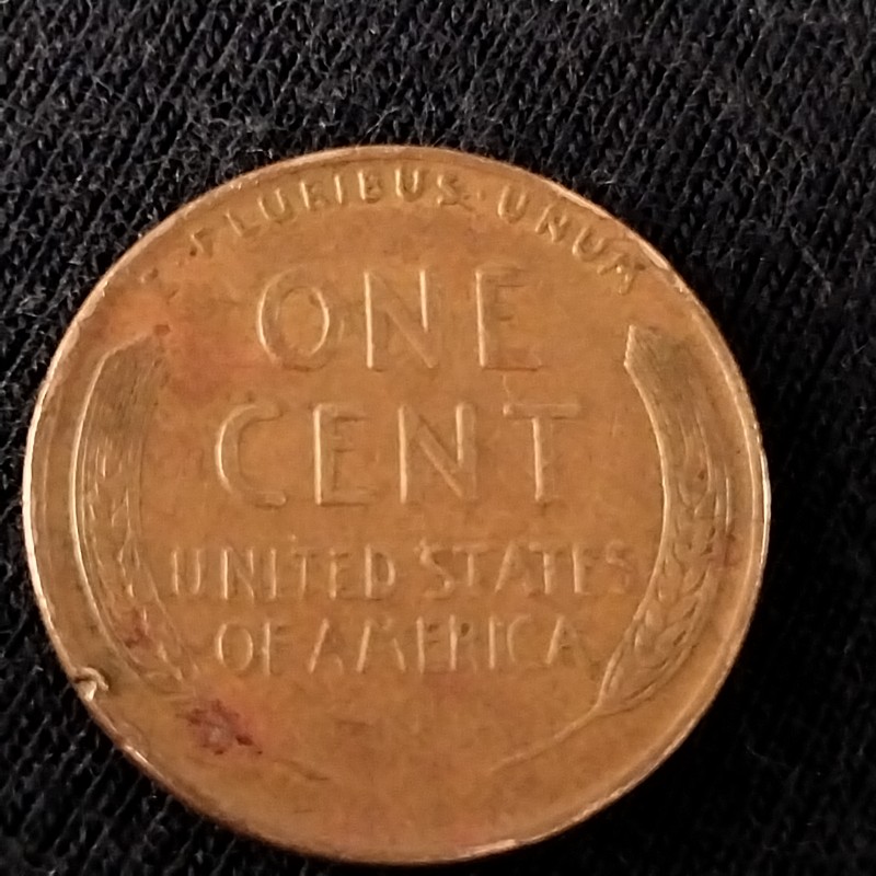 Snake-Head-Lincoln-1938-Wheat-Penny