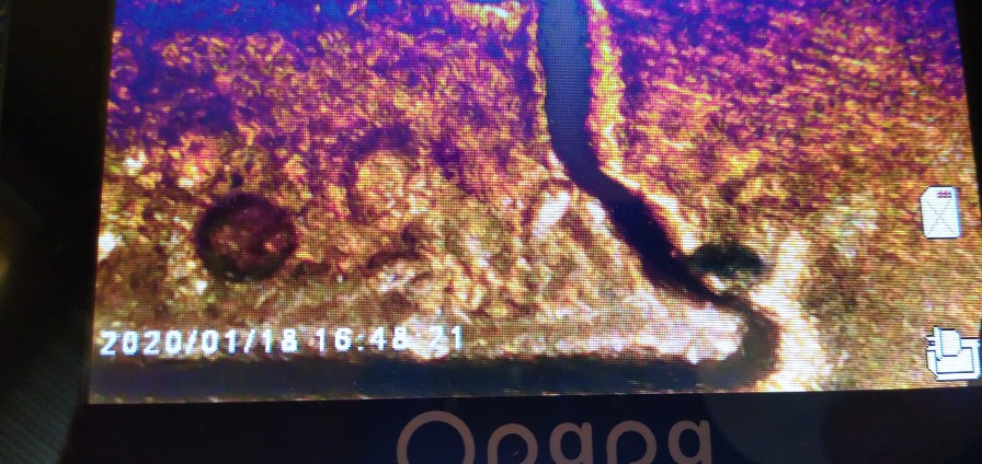 Floating-Roof-Penny-Questions