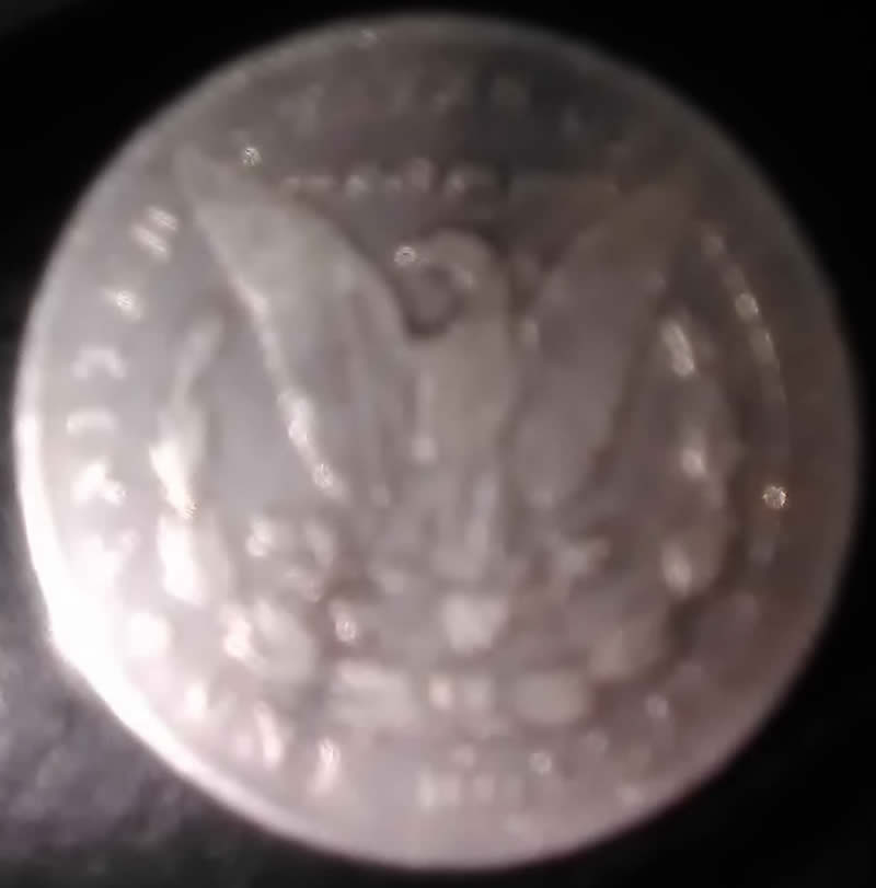 1878-Morgan-7-Feather-With-Solid-Square-MM