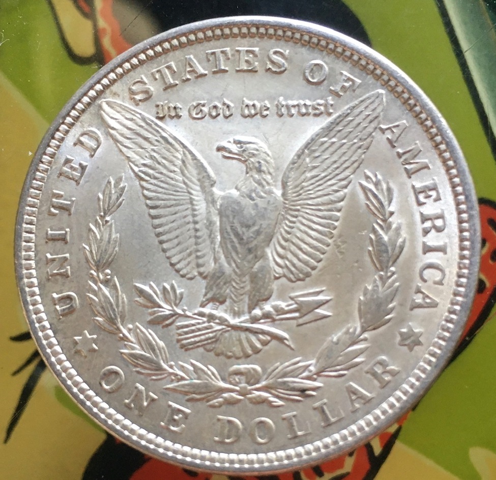 Need-Opinion---Morgan-Coin-2:-Grade?