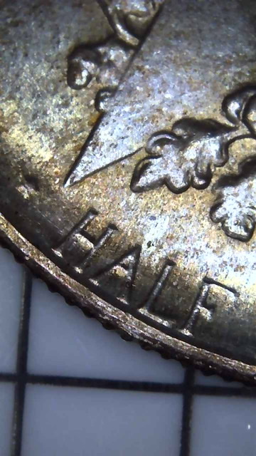 1936-Texas-Centennial-Half-Dollar-For-Grading