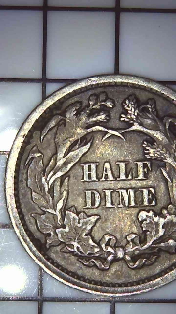 Seated-Liberty-Half-Dime-For-Grading