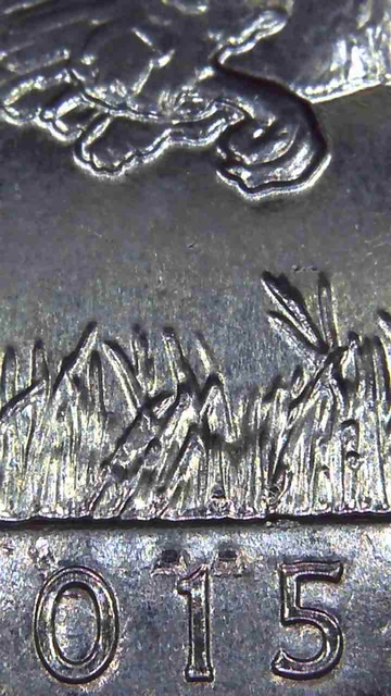2015-D-Territory-Kisatchie-Possible-Error-?