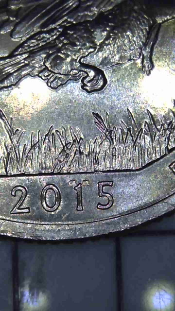 2015-D-Territory-Kisatchie-Possible-Error-?