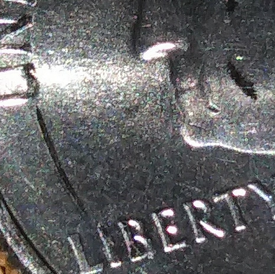 2018-Cumberland-Island-Quarter-Error