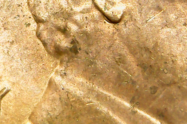2015-D-LSC-DDO-002-Double-Earlobe