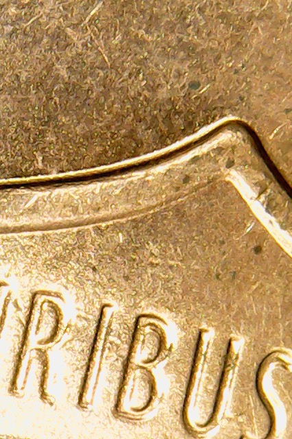 2015-D-LSC-DDO-002-Double-Earlobe