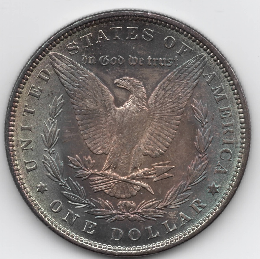 1887-Morgan-For-Grading