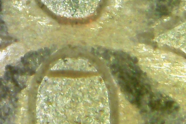 1883-O-Morgan---Help-Identifying-VAM