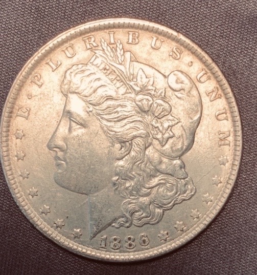 1886-Morgan-Dollar.-I-Need-Help-With-VAMs.