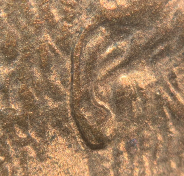 1997-Lincoln-Memorial-Cent.-Ufo.