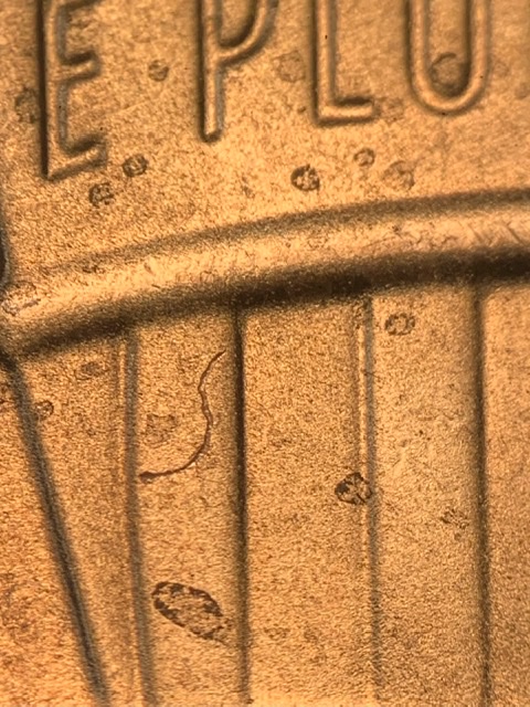 2020-D-Lincoln-Shield.-UFO-?