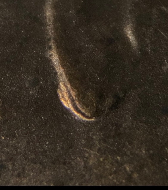 2016-D-Lincoln-Shield.-DDO-/-Ear
