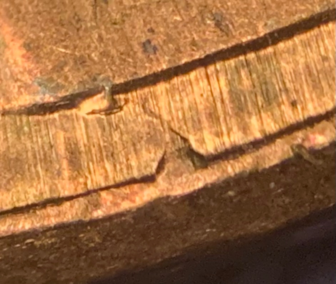 2012-Lincoln-Shield-Spike-Head-+-?