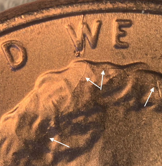 2021-P-Lincoln-Shield.-Spike-Head.