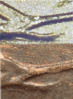 1957-D-Wheat-Penny-DDR-Error?