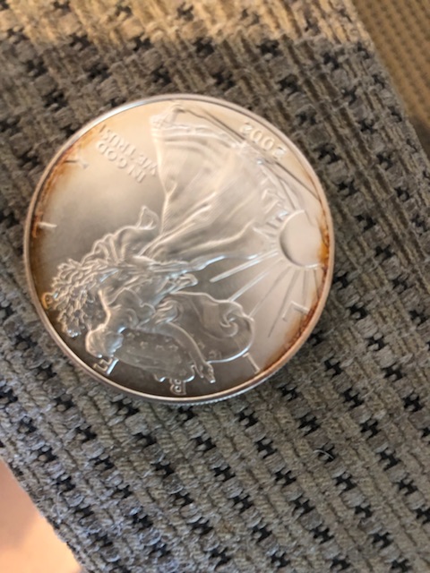 Silver-Eagle.--Fake-Or-Real