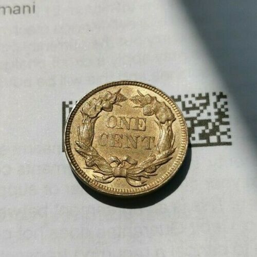 1858-Flying-Eagle-Cent---Grading-Opinion-Needed!-Please-Look!